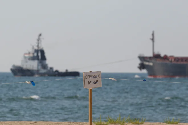 Rund 5.300 Tonnen Sonnenblumenmehl sind mit dem Schiff Rahmi Yaggi für die Türkei bestimmt, während das Schiff Ocean Lion fast 65.000 Tonnen Mais für Südkorea transportiert.  FOTO: Stringer/Reuters