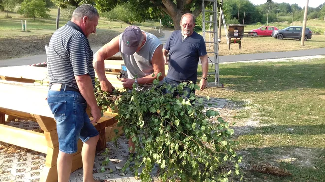 Po letu 2000 se dejavno staranje spremeni v produktivno staranje, kar pomeni, da naj bi bili starejši produktivni in bi delali neposredno koristna dela za družbo. FOTO: Leon Vidic/Delo
