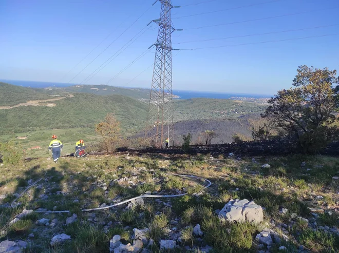 Ogenj je do zdaj uničil petnajst hektarov grmičevja na čezmejnem območju. FOTO: Matjaž Kosmač
