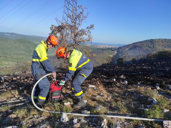 Trenutno je na terenu pri Socerbu, v koprski občini, od 110 do 120 gasilcev. FOTO: Matjaž Kosmač
