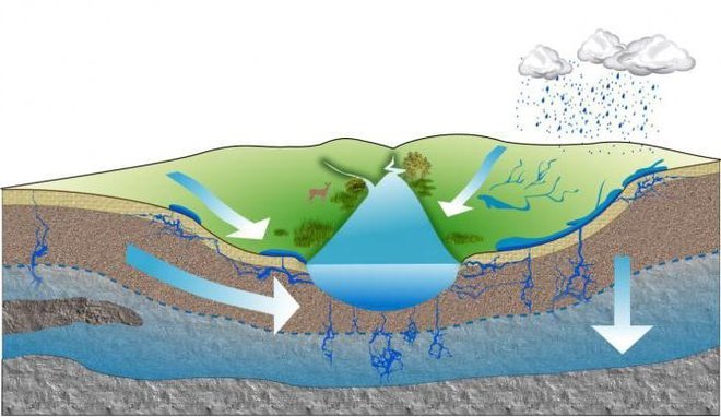 Shematski prikaz podzemne vode v tleh in načina napajanja. (vir: https://sl.puntomarinero.com/what-is-groundwater-definition-characterization/)
