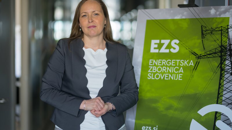 Fotografija: Energetska zbornica Slovenije poudarja nujnost, da si država prizadeva za cilje odporne energetske unije, pravi Ana Vučina Vršnak, izvršna direktorica EZS. FOTO: Kraftart
