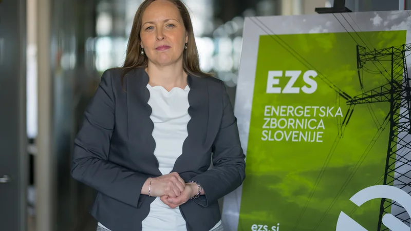Fotografija: Energetska zbornica Slovenije poudarja nujnost, da si država prizadeva za cilje odporne energetske unije, pravi Ana Vučina Vršnak, izvršna direktorica EZS. FOTO: Kraftart