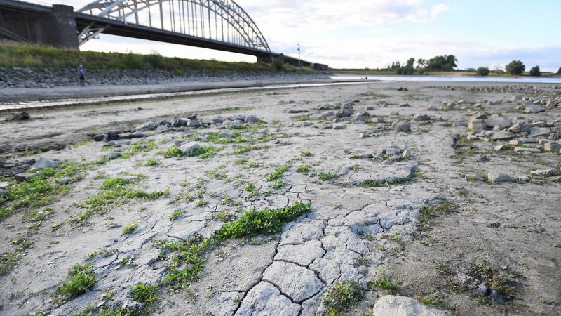 Fotografija: Vodostaji pomembnih evropskih rek so izjemno nizki. FOTO: Piroschka Van De Wouw/Reuters
