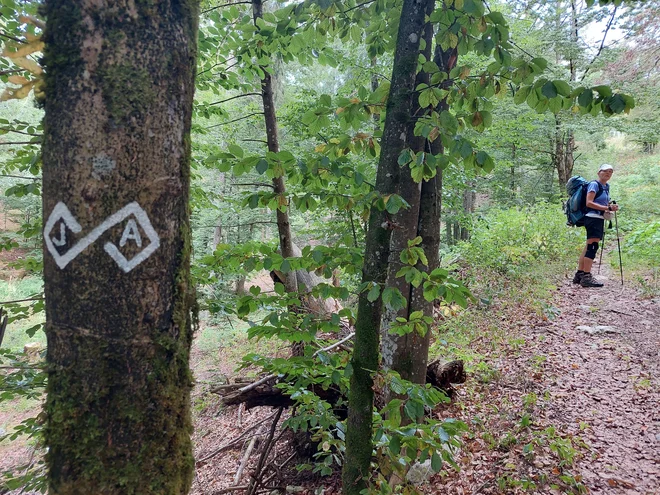 J in A, Julijske Alpe v znaku Julijane, pot pa večinoma označujejo rumeni smerniki z Julijaninim znakom. FOTO: Dragica Jaksetič
