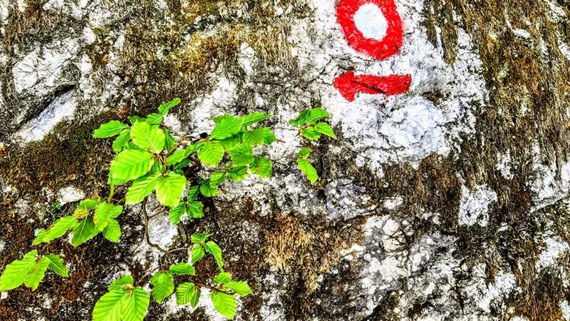 Fotografija: Na planinskih kartah so markirane poti običajno rdeče obarvane, polna črta so lahke poti, prekinjena rdeča pa zahtevne planinske poti. FOTO: Tina Horvat
