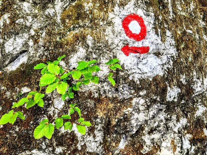 Na planinskih kartah so markirane poti običajno rdeče obarvane, polna črta so lahke poti, prekinjena rdeča pa zahtevne planinske poti. FOTO: Tina Horvat
