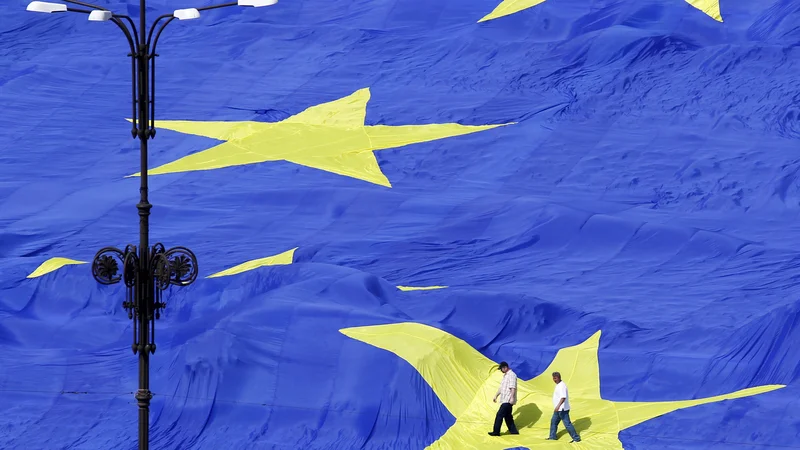 Fotografija: Majhne in srednje države vse pogosteje izgubljajo možnosti obrambe svojih pravic, interesov in potreb v konfrontaciji z največjimi državami. FOTO: Bogdan Cristel/Reuters