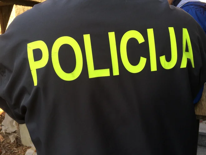 Policisti svetujejo, naj zaklepajo vrata, tudi kadar hišne prostore zapustijo za zelo kratek čas. FOTO: Bakal Oste
