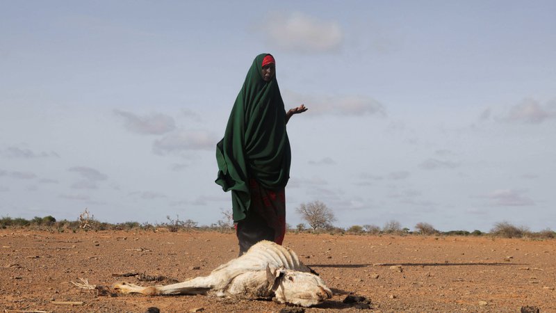 Fotografija: Pokrajina Gedo v Somaliji Foto Feisal Omar/Reuters
