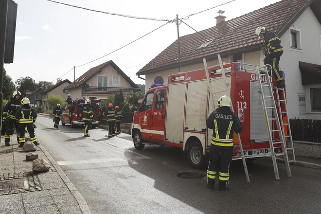 V Ljubljani je bilo v dveh urah, od začetka močnega vetra, že 114 intervencij. FOTO: Leon Vidic/Delo
