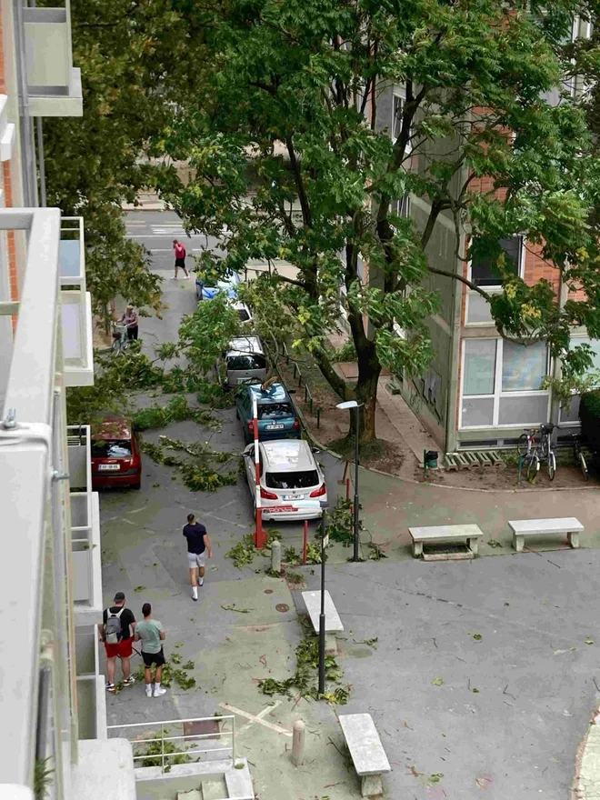 Iz središča Ljubljane. FOTO: Bralka Urška
