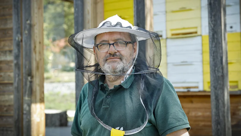 Fotografija: Čeprav kot družba do malih letečih bitij gojimo spoštovanje, po drugi strani ne delujemo vedno v njihovo korist. FOTO: Jože Suhadolnik/Delo
