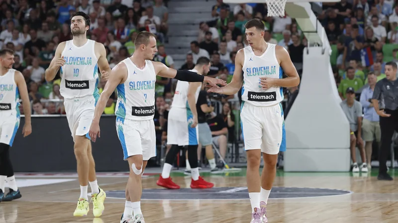 Fotografija: Za razliko od junijskega dvoboja s Hrvaško bo Slovenija tokrat močnejša za Klemna Prepeliča (7) in Vlatka Čančarja (31). FOTO: Leon Vidic/Delo