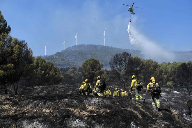 286.000 hektarjev so letos v Španiji opustošili požari, kažejo podatki Evropskega informacijskega sistema za gozdne požare. FOTO Ander Gillenea/Afp
