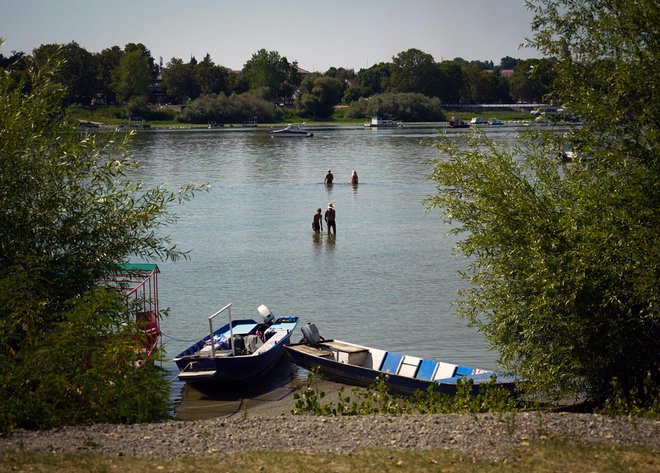 Zatočišče ob nekoliko hladnejših bregovih Donave FOTO: Oliver Bunić/AFP
