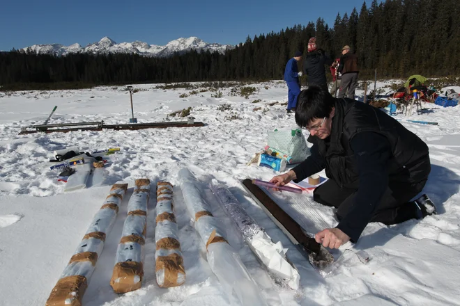 V vzorcih poleg cvetnega prahu najdejo tudi mikroskopske drobce oglja, ki so se odlagali ob požarih. FOTO: Marko Zaplatil
