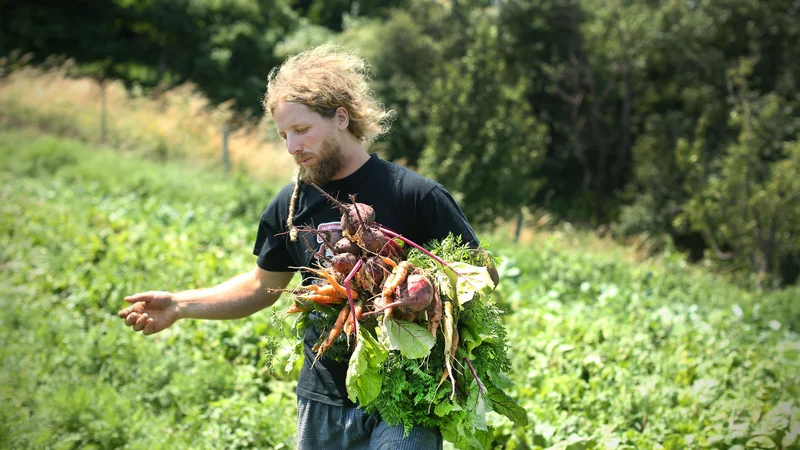 Fotografija: Ne glede na tveganja in ovire so ekološki kmetje optimistični. FOTO: Jure Eržen/Delo