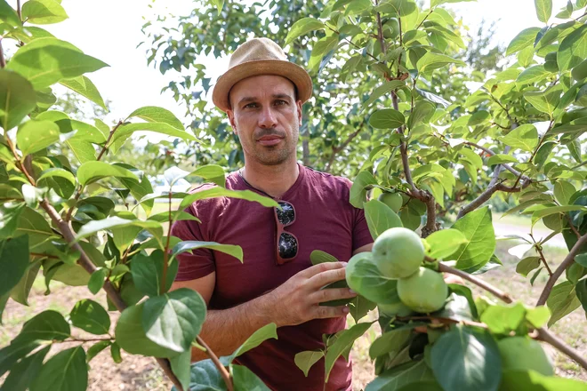 Dane Podmenik. FOTO: Črt Piksi
