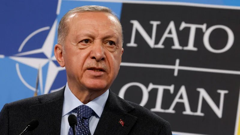 Turški predsednik Recep Tayyip Erdoğan si pri uresničevanju načrtov na severu Sirije lahko obeta glasen molk iz zahodnih prestolnic. Foto Yves Herman/Reuters

