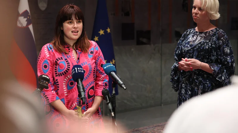 Fotografija: Merilo za sprejetje civilnodružbenih zakonskih predlogov mora biti strokovnost in prepričljivost argumentov, meni pravnik Jernej Letnar Černič. FOTO: Črt Piksi/Delo