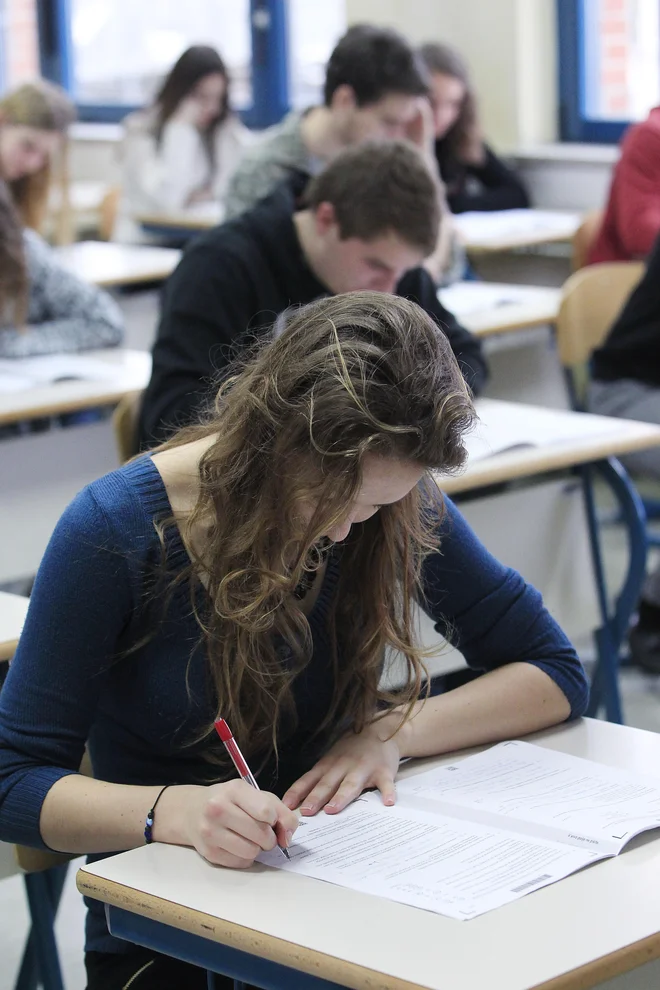 Dobre rezultate daje pouk, ki poteka v varnem ozračju, v dobrih medosebnih odnosih, ko je učitelju mar za napredek učencev in ko deli z njimi navdušenje za snov. FOTO LEON VIDIC/DELO

