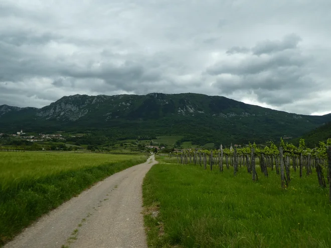 Gravel po Vipavski dolini.
