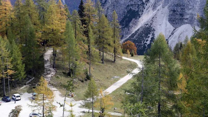 Fotografija: Se strinjam, da je potka ponekod poraščena z mahom in je užitek hoditi po njej. To pa ne bo dolgo trajalo, ker jo bodo kolesarji uničili pri zaviranju. FOTO IGOR MALI