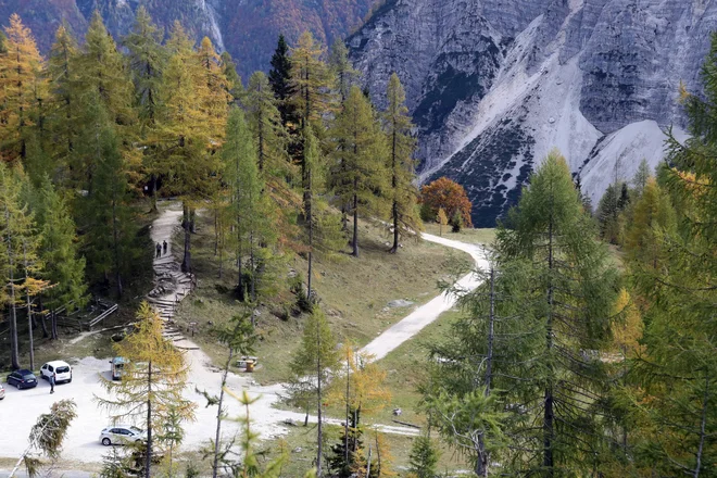 Se strinjam, da je potka ponekod poraščena z mahom in je užitek hoditi po njej. To pa ne bo dolgo trajalo, ker jo bodo kolesarji uničili pri zaviranju. FOTO IGOR MALI

