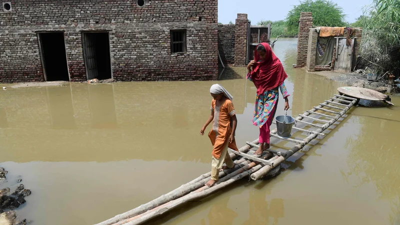 Fotografija: FOTO: Asif Hassan/AFP