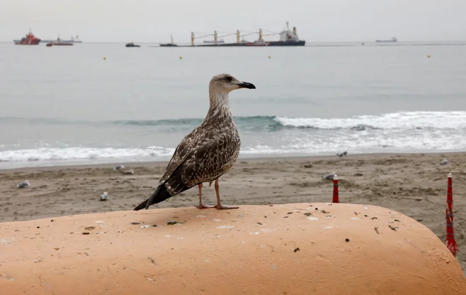Tanker se potaplja tik pred obalo Gibraltarja. FOTO: Jon Nazca/Reuters
