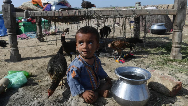 Fotografija: Otrok sedi na suhem v bližini svoje družine, potem ko je včeraj z družino pobegnil iz poplavljenega doma v pakistanski provinci Sindh. V Pakistanu so se okrepila prizadevanja za pomoč desetinam milijonov ljudi, ki jih je prizadelo neusmiljeno monsunsko deževje, saj je poplavilo tretjino države in zahtevalo več kot 1100 življenj. Foto: Asif Hassan/Afp