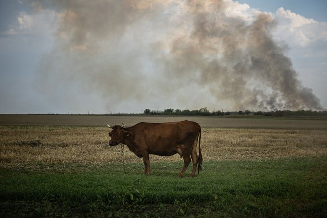 Dim, ki se vije iz Mikolajeva v regiji Herson. FOTO: Dimitar Dilkoff/AFP
