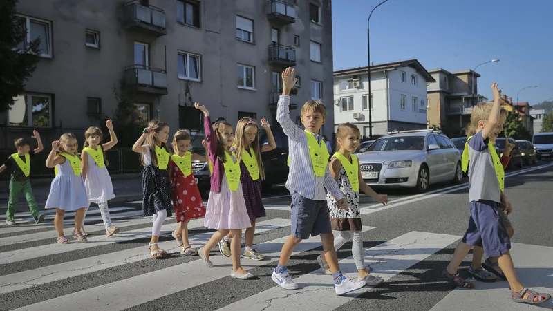 Fotografija: Poduk o varnem vedenju v prometu je pomemben del priprav na začetek šole. FOTO: Jože Suhadolnik/Delo