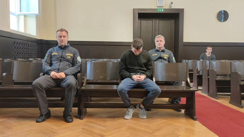 Fotografija: Aljaž Verhovnik je po priznanju krivde dobil sedem let zapora. FOTO: Aleš Andlovič