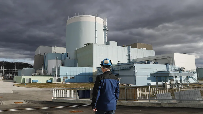 Fotografija: Slovenski in hrvaški evroposlanci so podprli nadaljevanje proizvodnje jedrske energije. FOTO: Leon Vidic/Delo