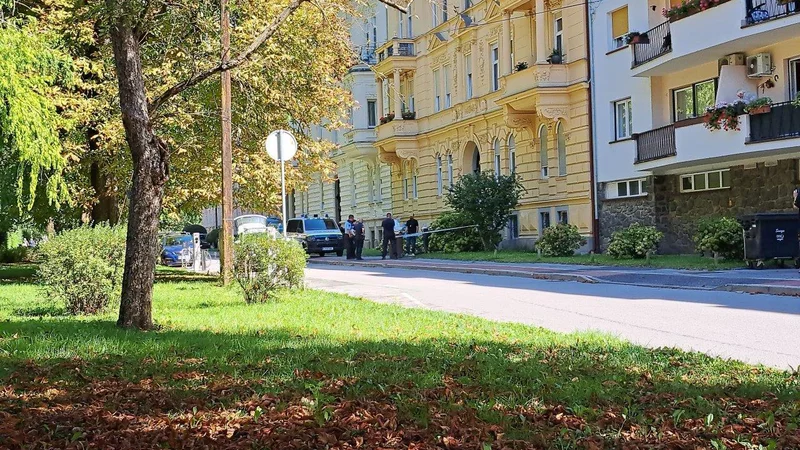 Fotografija: Zločin v mariborskem parku. FOTO: Oste Bakal
