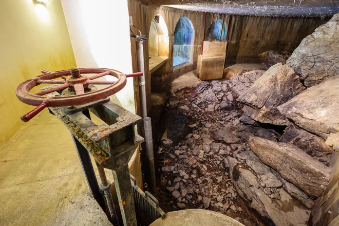 Zaloge vode v Rižanskem vodovodu so letos poleti presahnile, zato je nujno treba poiskati alternative. Med temi je tudi zbiranje deževnice. FOTO: Črt Piksi
