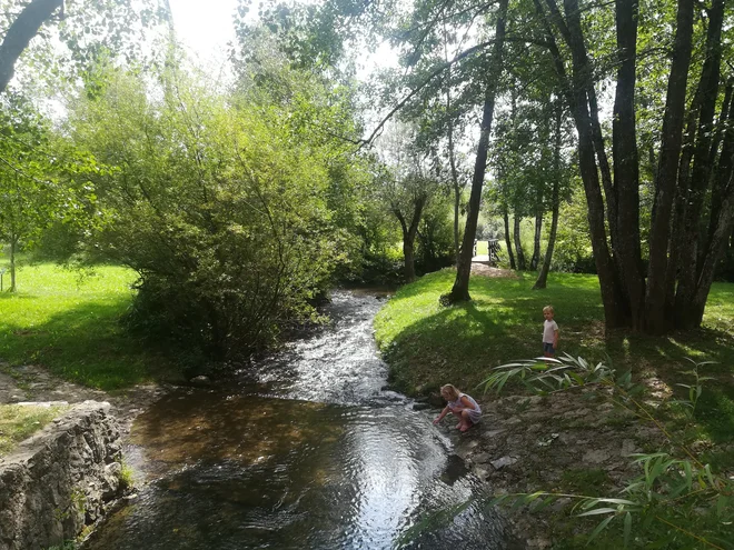 V zadnjih poletnih dneh je bila Trubarjeva domačija potopljena v zelenje. FOTO: Simona Bandur
