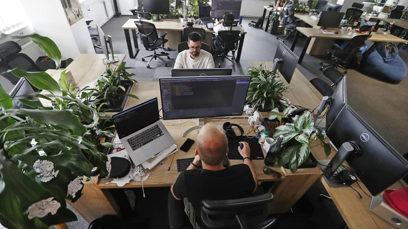 Vizija podjetja Kamino je imeti dovolj strank, ki jih zanimajo njihovi napredni produkti oziroma storitve. FOTO: Leon Vidic/Delo