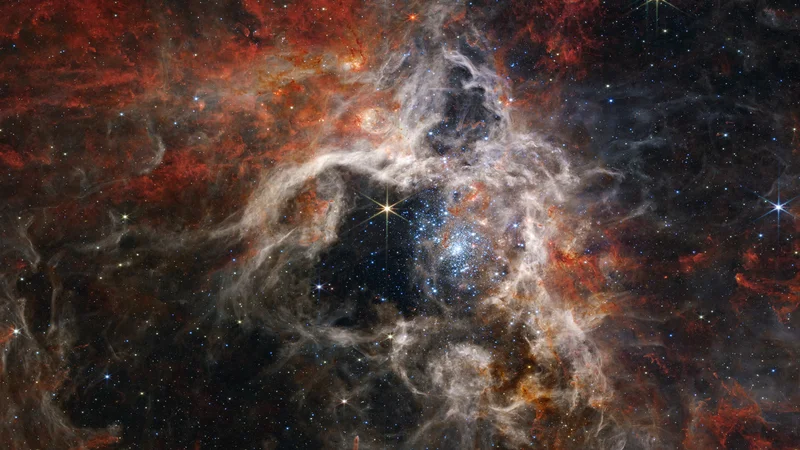 Fotografija: Tarantela v objektivu teleskopa James Webb. FOTO: Nasa/Esa/AFP