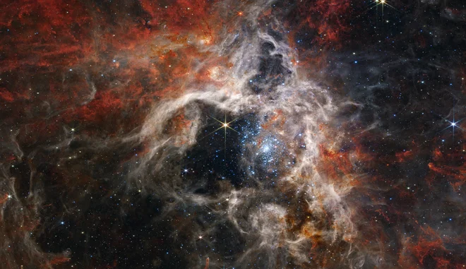 Tarantela v objektivu teleskopa James Webb. FOTO: Nasa/Esa/AFP
