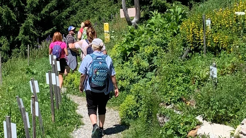 Fotografija: Posebnost je turistična zeliščarska ponudba. FOTO: Drago Bulc