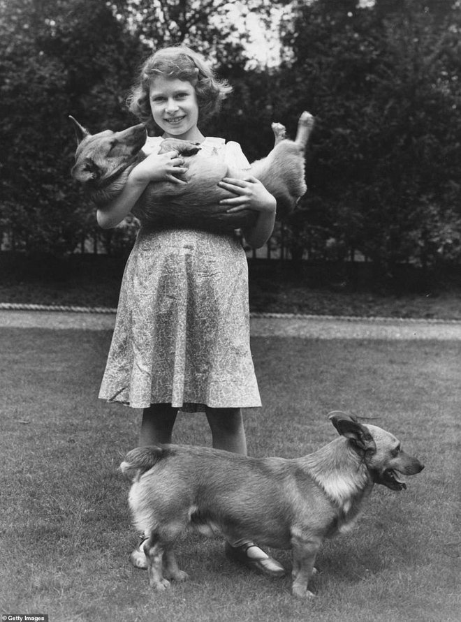 Kraljica je bila velika ljubiteljica psov, na fotografiji s prvimi corgiji, ki jih je proslavila, leta 1933. Bili so darilo njenega očeta Jurija II. FOTO: Reuters
