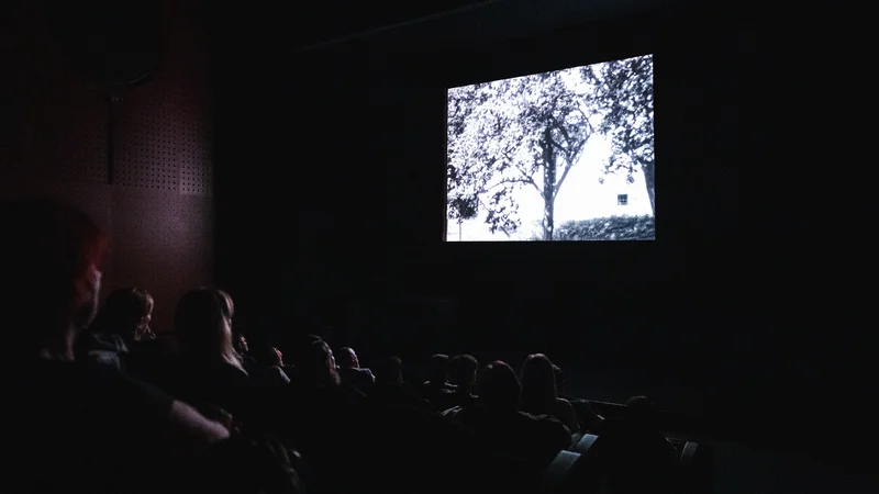 Fotografija: Po tem, ko so v Kinoteki razgrnili vrhunce nove sezone, smo si ogledali restavrirane kratke eksperimentalne filme (na fotografiji film Vinka Rozmana Odmev in odziv). FOTO: Asiana Jurca Avci