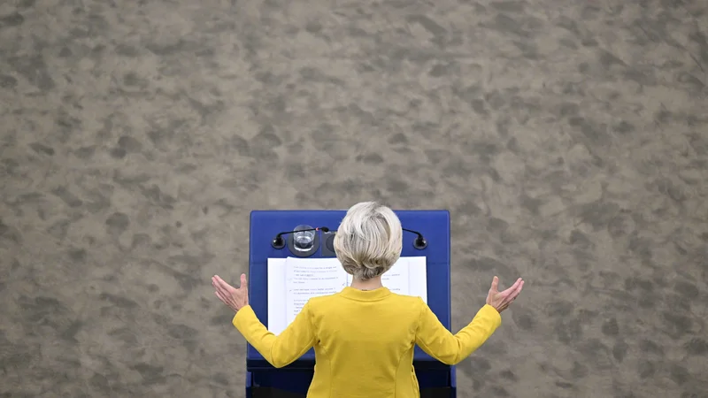 Fotografija: FOTO: Frederick Florin/AFP