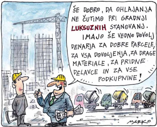 Vse v redu. KARIKATURA: Marko Kočevar