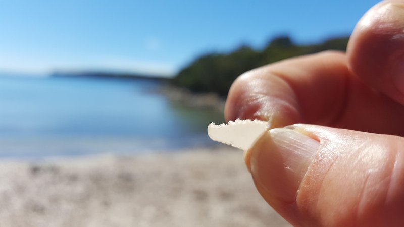 Fotografija: Organizmi v morju plastične koščke pojedo. FOTO: Borut Tavčar/Delo
