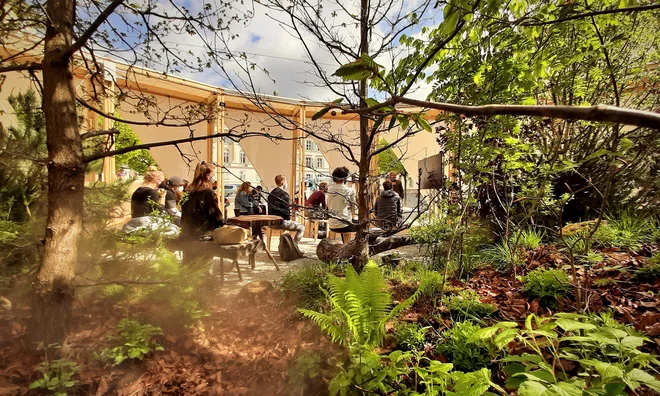 Climate Culture Pavilion v Avstriji kot primer domišljene lesene gradnje
