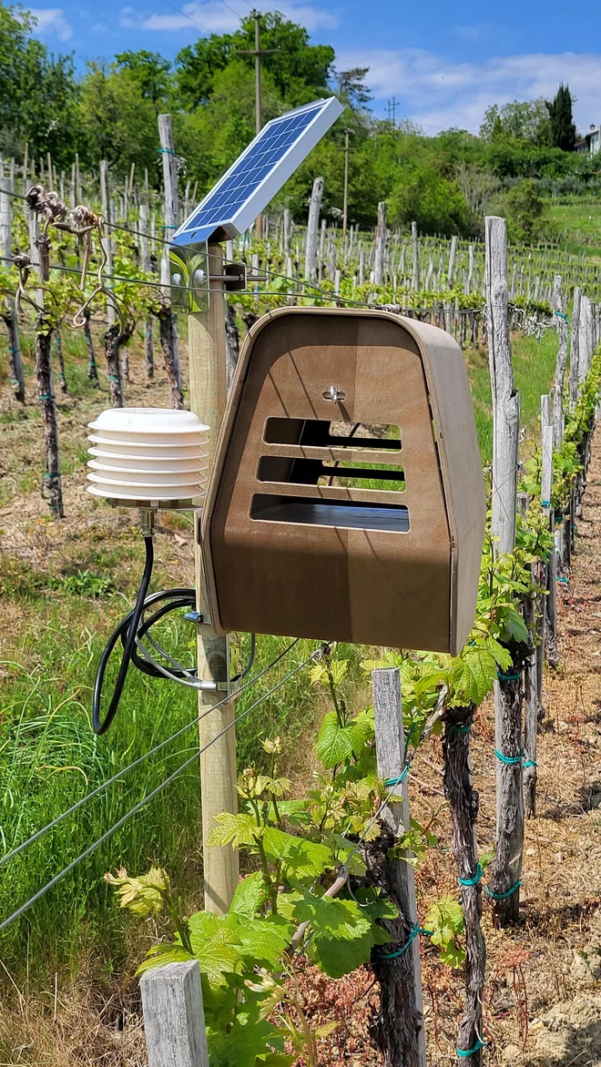 Rešitev Trapview se ukvarja s spremljanjem in napovedovanjem škodljivcev v kmetijstvu ter je obenem najpomembnejši produkt podjetja. FOTO: Telekom Slovenije

